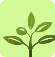 OliveCross Healthcare